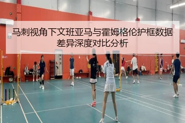 马刺视角下文班亚马与霍姆格伦护框数据差异深度对比分析